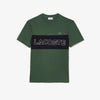 T-shirt Homme Lacoste